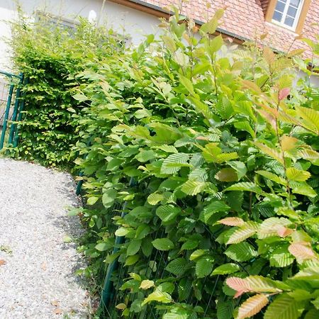 Whitley Cottage Condette Zewnętrze zdjęcie