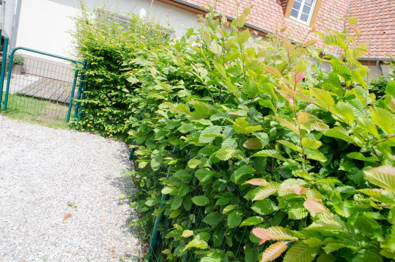 Whitley Cottage Condette Zewnętrze zdjęcie